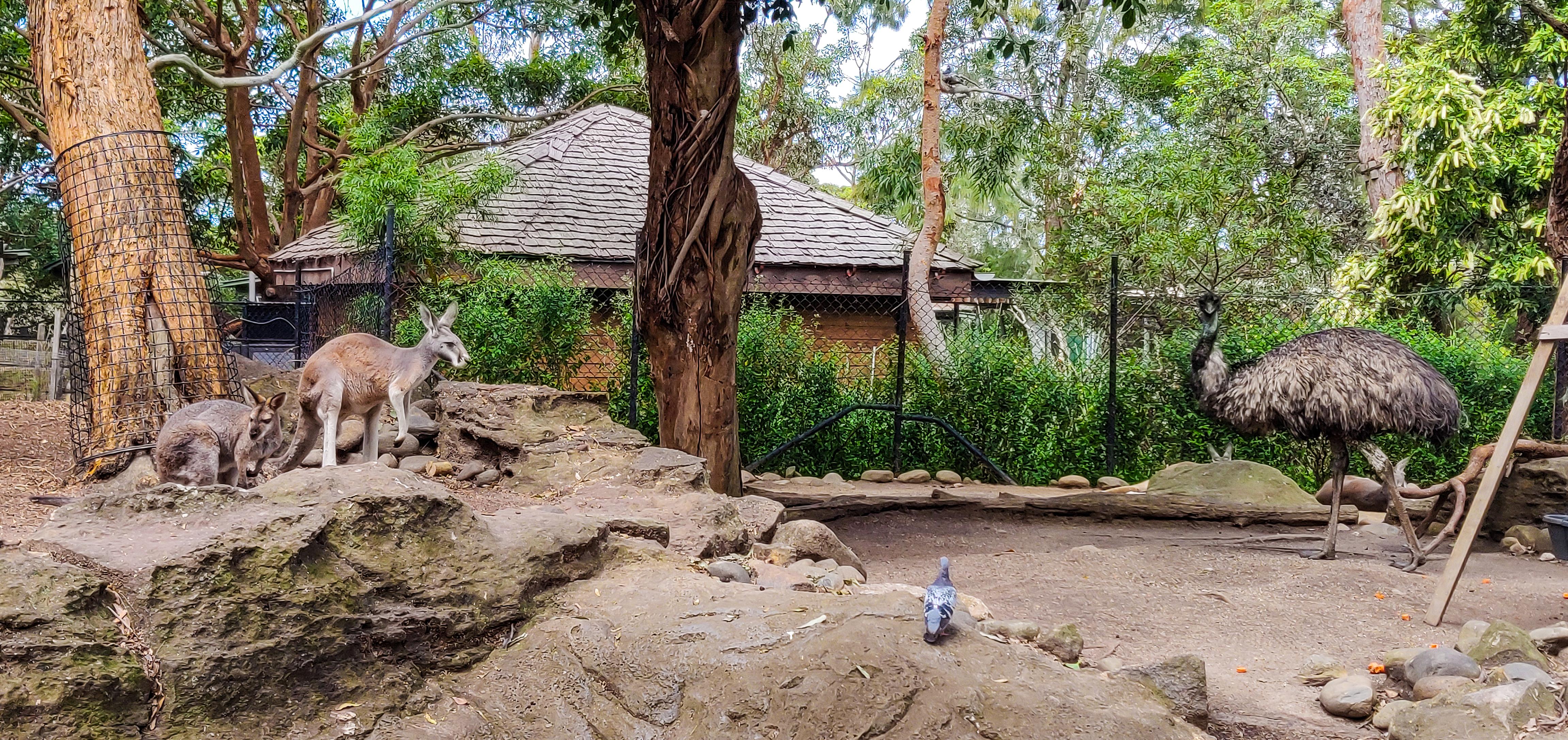 Taronga Zoo